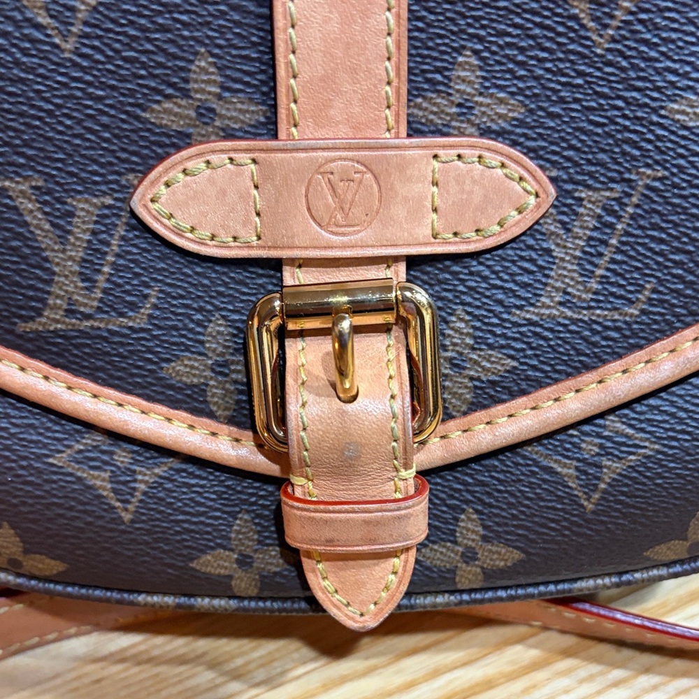 Louis Vuitton Saumur BB Monogram Crossbody Bag - Picture 4 of 13